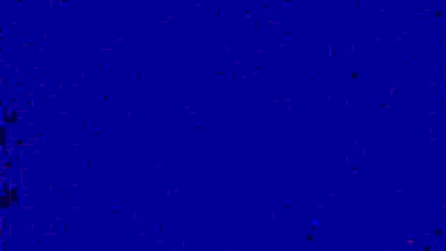 Introducing amber swallows