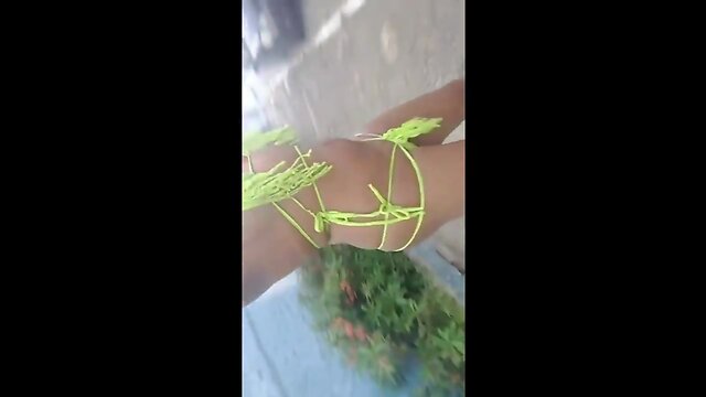 Latin Domination: Big-Assed Babe Takes Control of Big-Cocked Stud