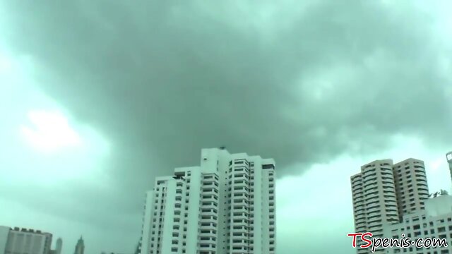 Chesty tgirl from bangkok - ladyboy angel