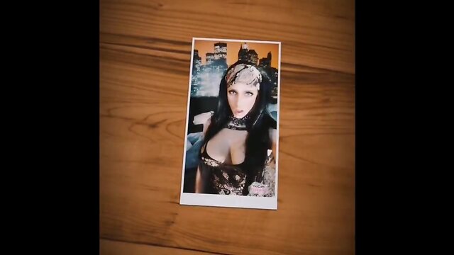 Best of wilmacd collection