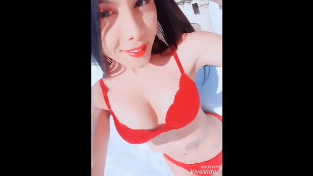 Collection of prostitute hookers trans girls doing it