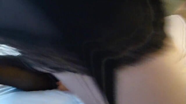 Gudrun, drilled and bred.