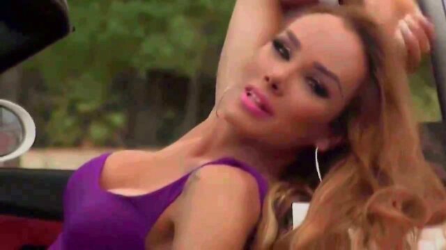 Transvestite (pmv) - 'she shook you all night long'