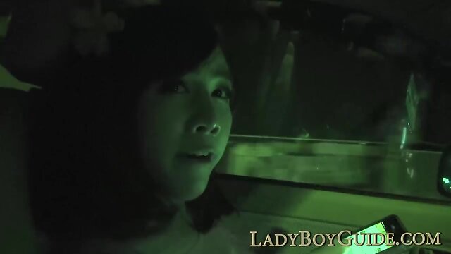 Free love expensive tgirl