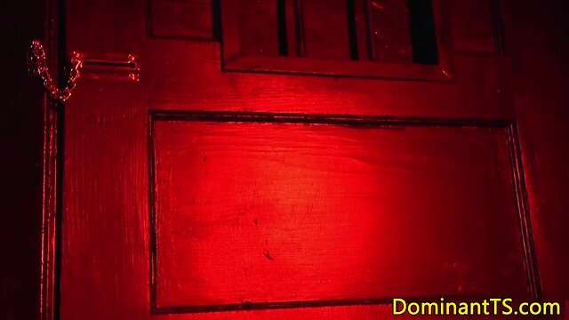 Jessica Fox: Latina Domination in Cage & Stockings