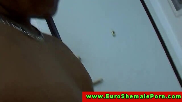 European ladyboy tv gets booty hammered