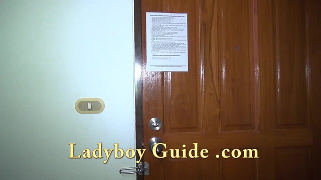 Seething transvestite in assorted nylons