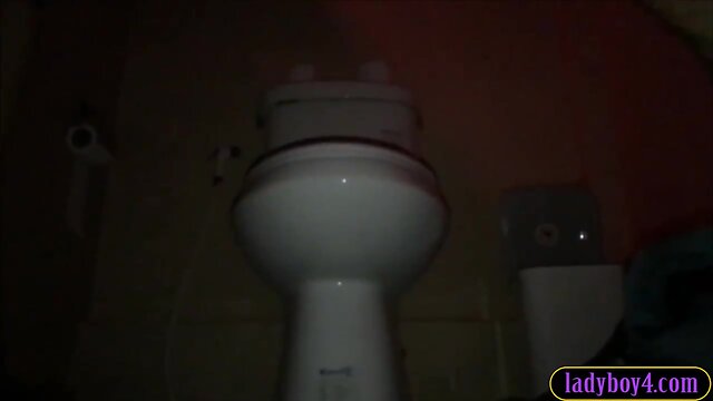 Real amateurish tv anal drilled on a public toilet