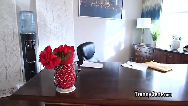 Transsexual agent fucks on casting