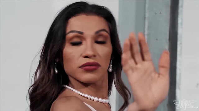 Brunette (jessy dubai) gets her butt drilled by security cliff - transangels