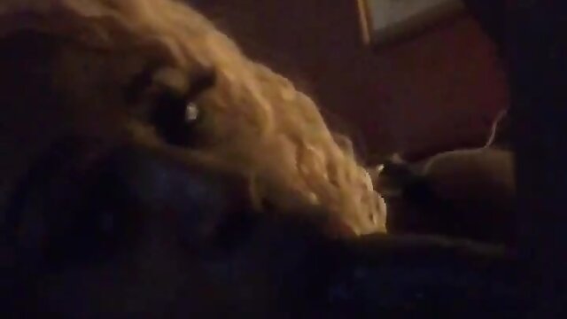 Having fun swallowing this 11inch cock sloppy toppy