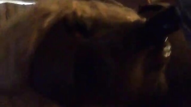 Having fun swallowing this 11inch cock sloppy toppy