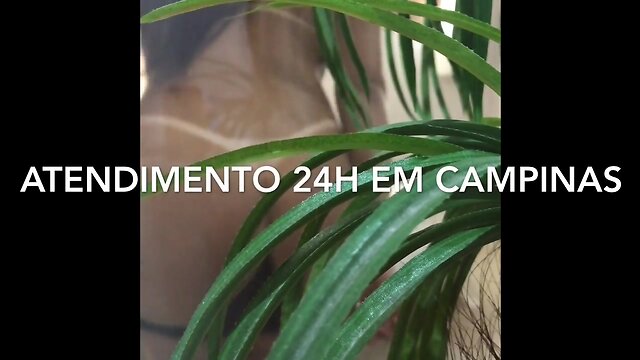 Aline tavares campinas sp (019) 981609487