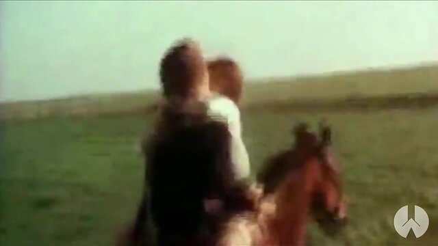 Memes de dezembro 2019 especial (w. abreu)