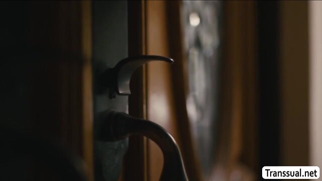 Transvestite natalie bangs her roomate milf reagan