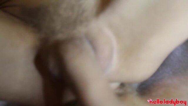 Helloladyboy huge breasted asiatic tran fucked by huge penis