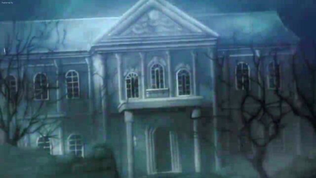 A Wild Foursome: Transform & Thrill!