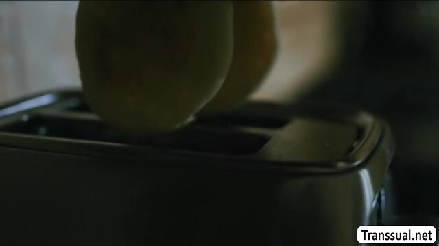 T-Girl eva maxim rides her stepdads bigcock