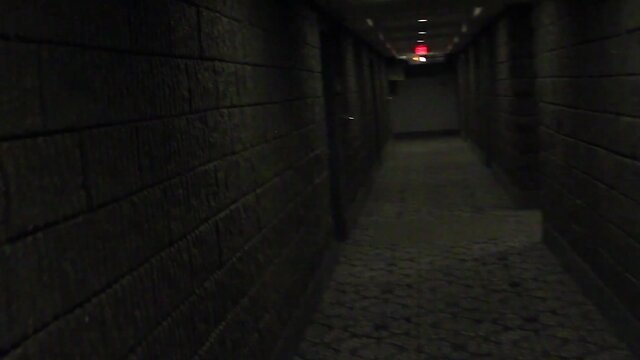 Boss fucks his large schlong trans secretary (tv trasex doll fuck)