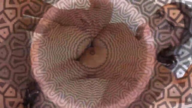 New bbc hypno worship superior  nigga prick. 720p