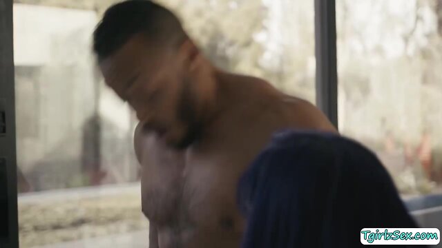 Transsexual ass drilled by stepsis ebony boyfriend