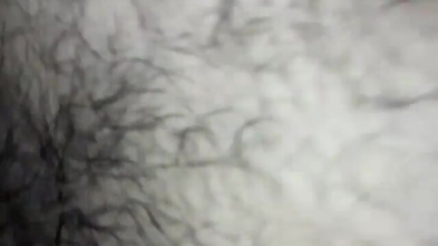 Intense Blowjob & Anal: Cumshot Finale