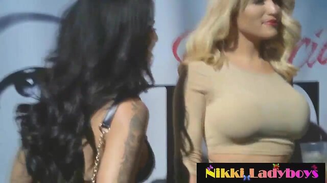 T-chick and transvestites party in california