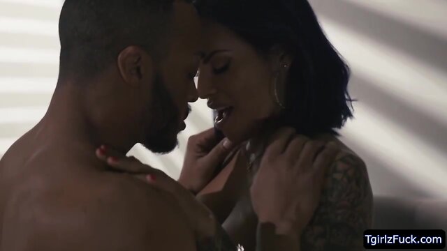 Transvestite foxxy grabs stud dillon diaz prick