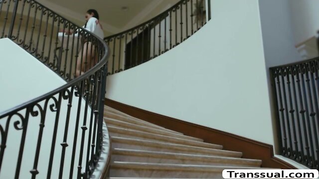 Tranny eva loves the way stepdads fucks her butt