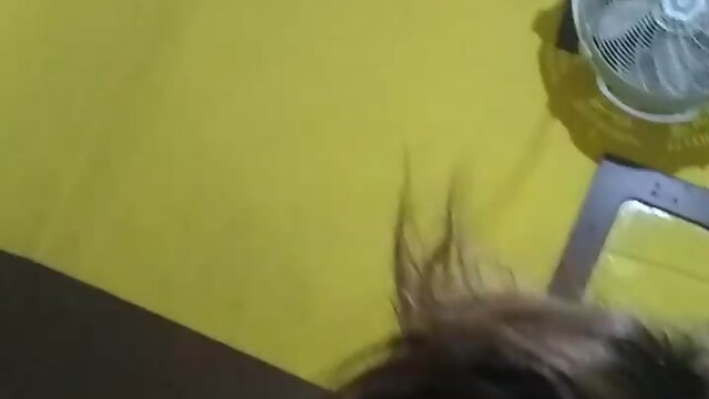 Trans yarytza cromandomela