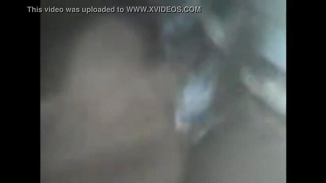 Coletânea sucesso do blog