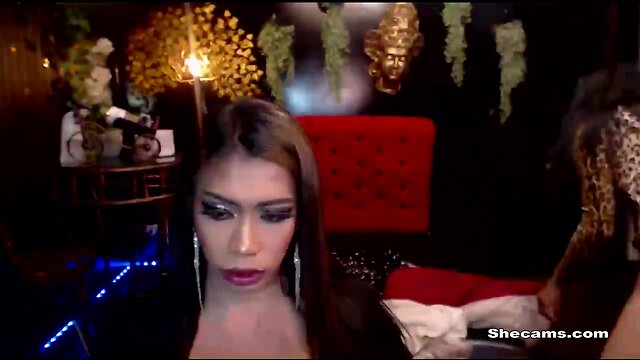 Huge Tits T-Girl Couple Loves Anal