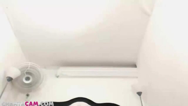 Sultry shemale with big dick