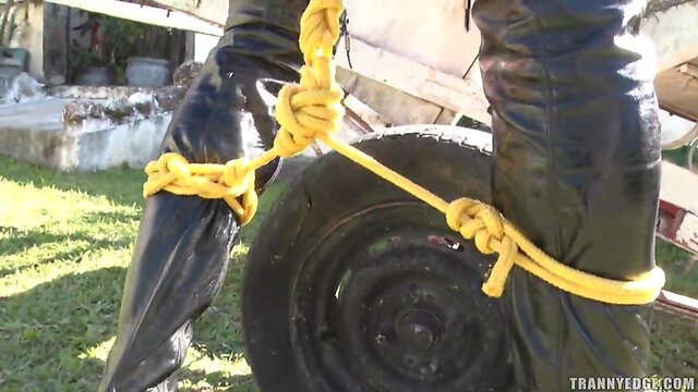 Sabrina camargo used and a.