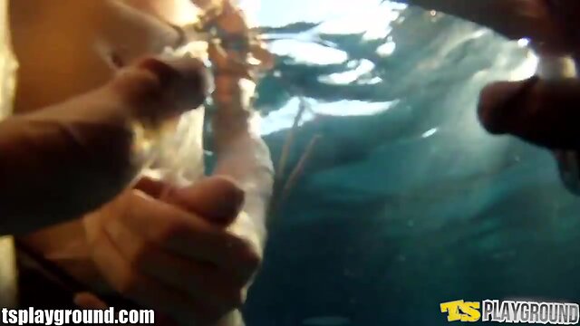 Experience Ultimate Beauty & Awesomeness with Eva Lin, Mandy Mitchell & Morgan Bailey!