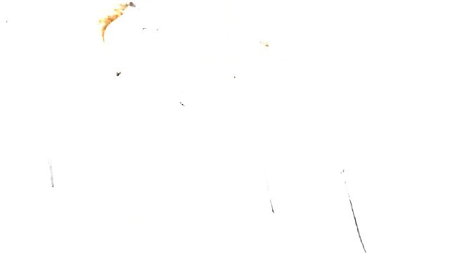 His#9 bbc submissive