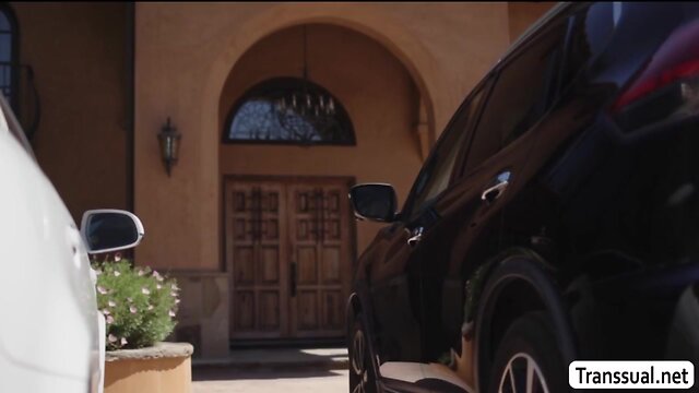 Tgirl daisy c. deepthroating dudes bigcock