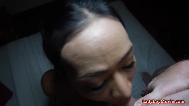 Transsexual cindy cocksucking and doggy anal