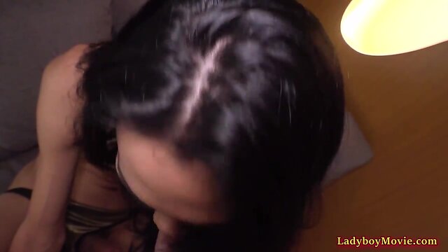 Tgirl swan gives cocksucking and butt hammered condomless