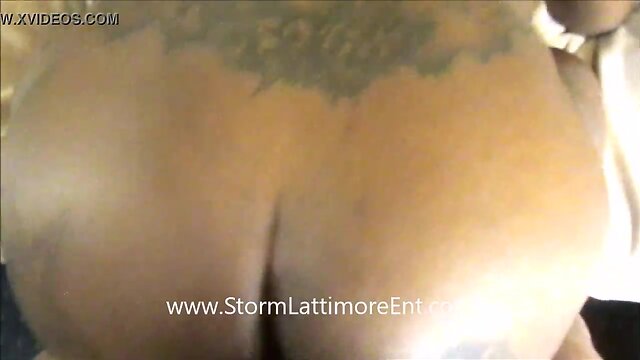 Storm lattimore presents the dc bully