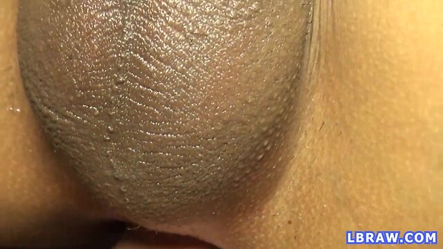 Transsexual kim hammered condomless