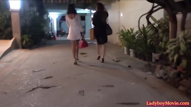 Three sultry transvestites in the room