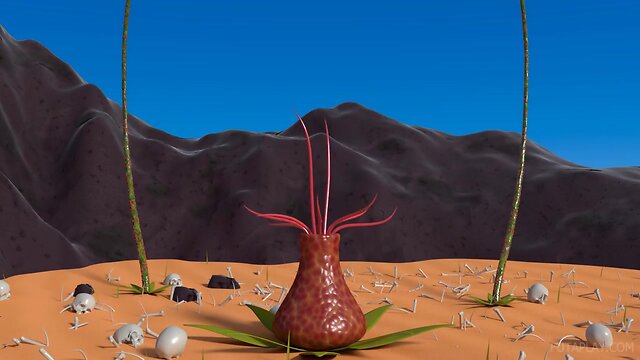 Pretty futa vs t. monster