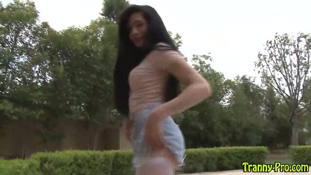 Sultry trans she-male solo