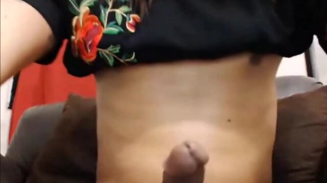 Tranny wanks her huge pecker and finishes in her hand