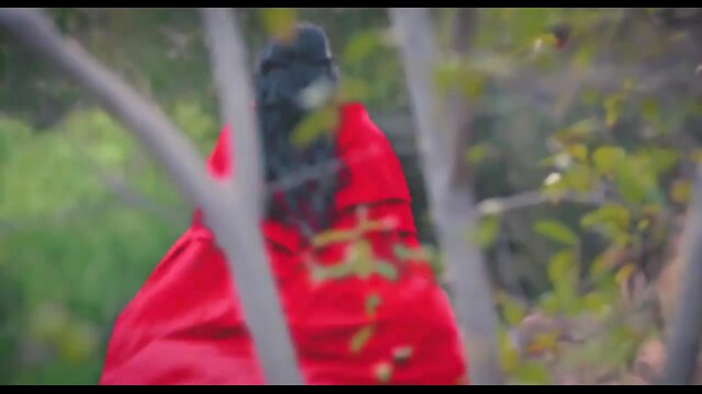 Chanel santini ts fucks baby