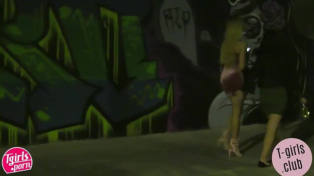 Transgender beauty blowjob before anal