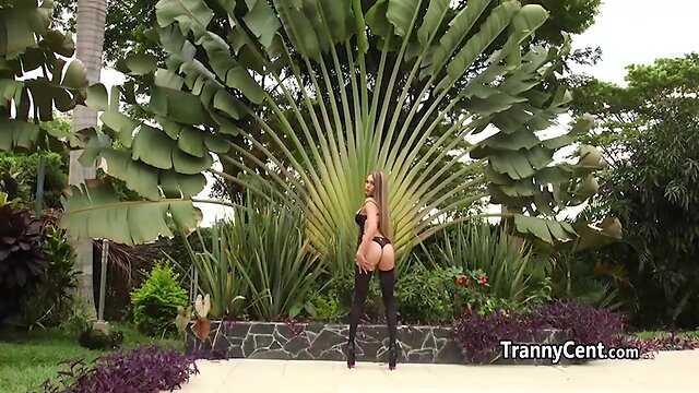 Tran beauty gangbanged hard