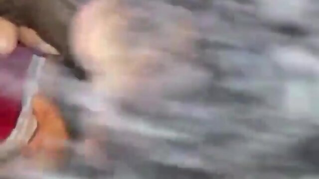 Ever pounded a beauteous t-girl? try it!!