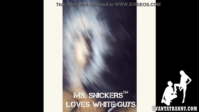 Tranny girls suck the best pecker and do it all -